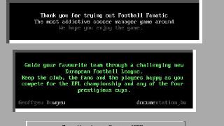 Football Fanatic Screenshot 01