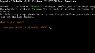 Legend of Saladir Screenshot 02