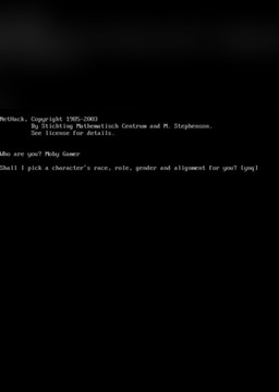 NetHack