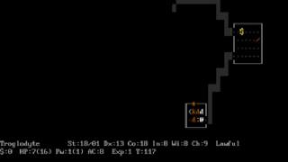 NetHack Screenshot 02