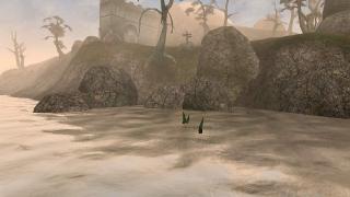 The Elder Scrolls III: Morrowind Screenshot 03