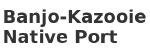 Banjo-Kazooie Native Port