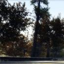 Burnout Revenge Screenshot 02