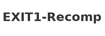 EXIT1-Recomp