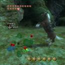 The Legend of Zelda: Twilight Princess Screenshot 04