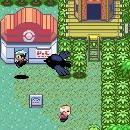Pokémon Emerald Screenshot 02
