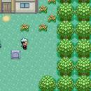 Pokémon Emerald Screenshot 05