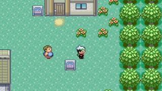 Pokémon Emerald Screenshot 05