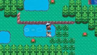 Pokémon Emerald Screenshot 06