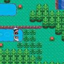 Pokémon Emerald Screenshot 06