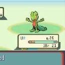 Pokémon Ruby and Sapphire Screenshot 02