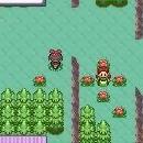 Pokémon Ruby and Sapphire Screenshot 03