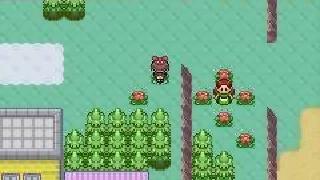 Pokémon Ruby and Sapphire Screenshot 03