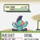 Pokémon Ruby and Sapphire Screenshot 05