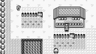 Pokémon Red and Blue Screenshot 02