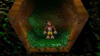 Macphisto's hi-res Banjo-Kazooie Texture Pack 05