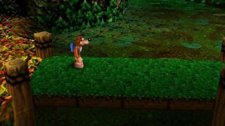 Macphisto's hi-res Banjo-Kazooie Texture Pack 06