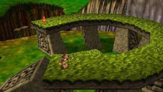 V-King Banjo-Kazooie Retexture Texture Pack 03