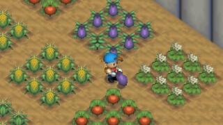 Harvest Moon 64 Screenshot 01