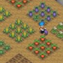Harvest Moon 64 Screenshot 01