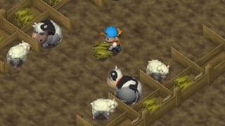 Harvest Moon 64 Screenshot 04