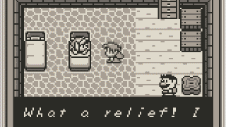 higan Emulator Screenshot 4