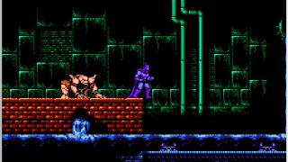 Nestopia NES Emulator Screenshot 4
