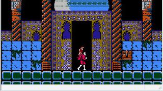 Nestopia NES Emulator Screenshot 6