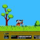 Duck Hunt Screenshot 01