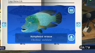 Matrix2525's Endless Ocean: Blue World Texture Pack 07
