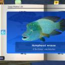 Matrix2525's Endless Ocean: Blue World Texture Pack 07