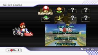 Mario Kart Wii Screenshot 05