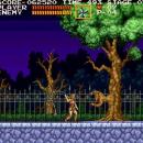 Castlevania Chronicles Screenshot 05